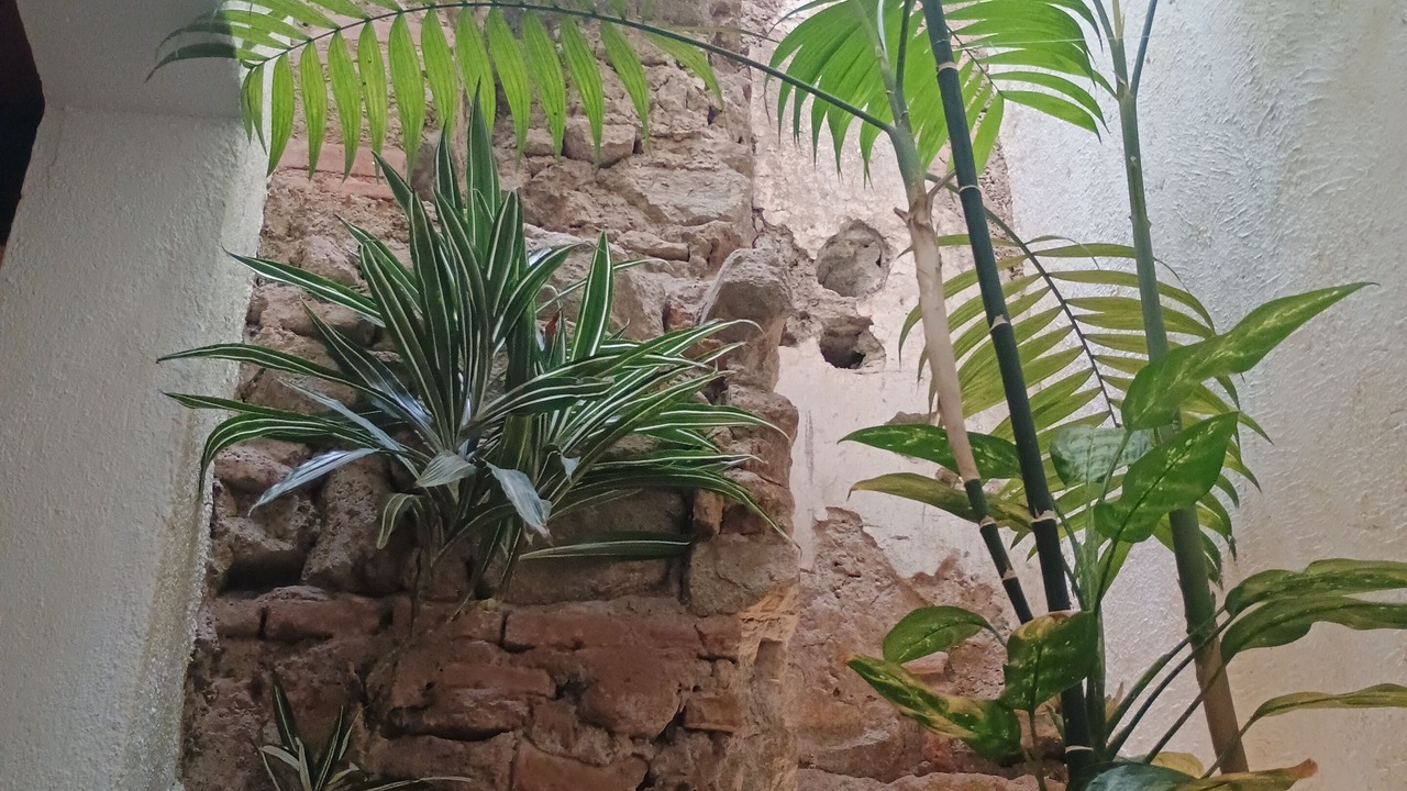 Photo of Outdoor in Antigua Guatemala