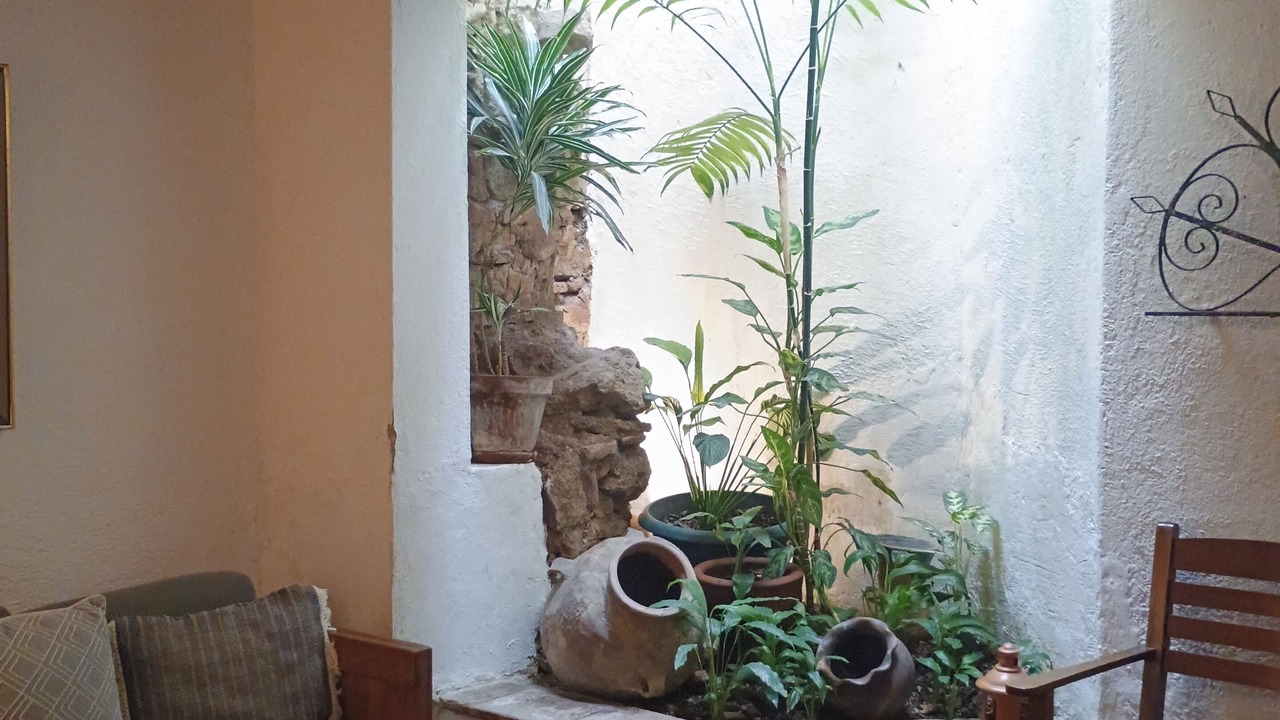 Photo of Others in Antigua Guatemala