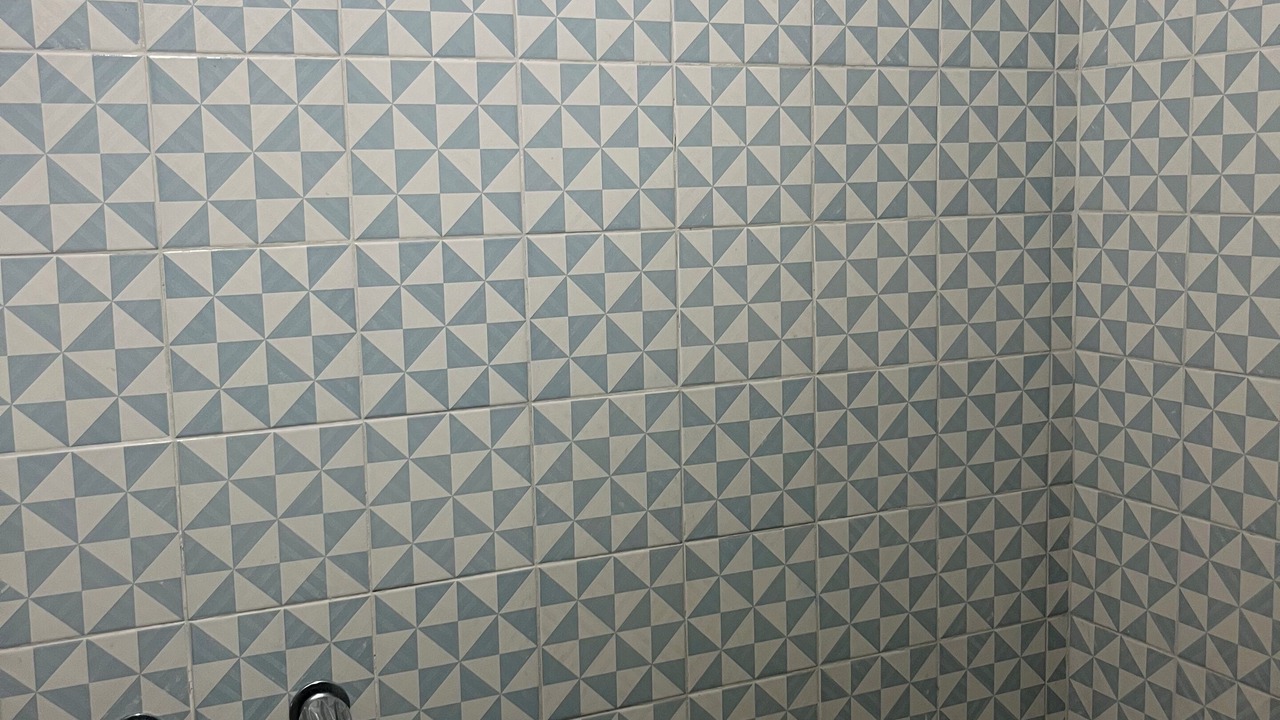 Photo of Bathroom in Primera Seccion