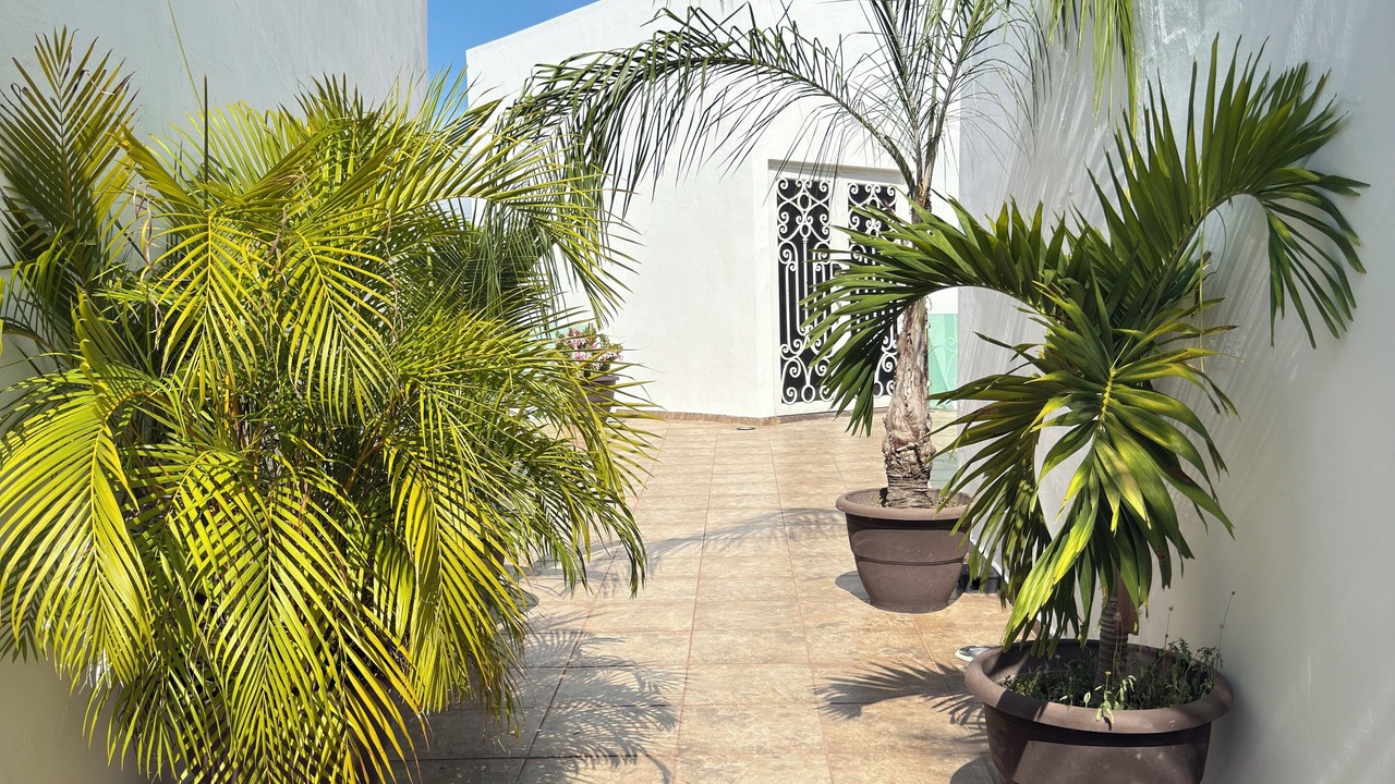 Photo of Outdoor in Balcones de Loma Linda
