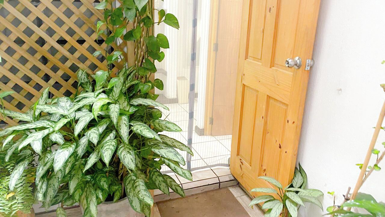 Photo of Outdoor in Zona 12