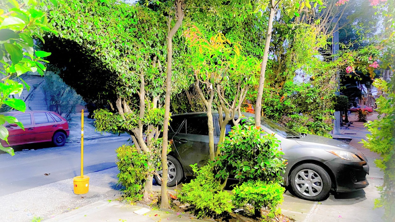 Photo of Outdoor in Zona 12