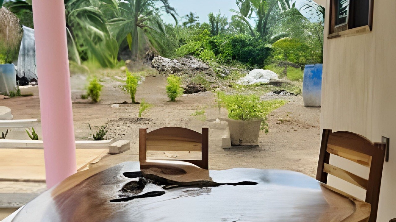 Photo of Outdoor in Saladita