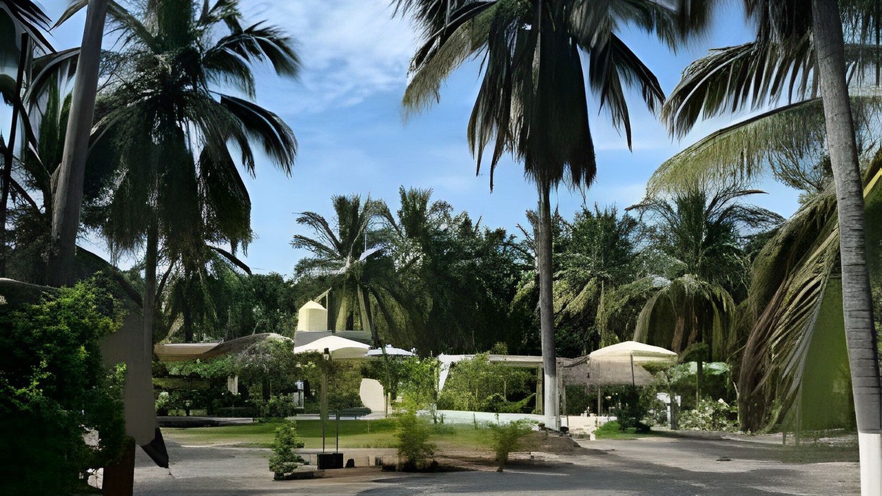 Photo of Outdoor in Saladita