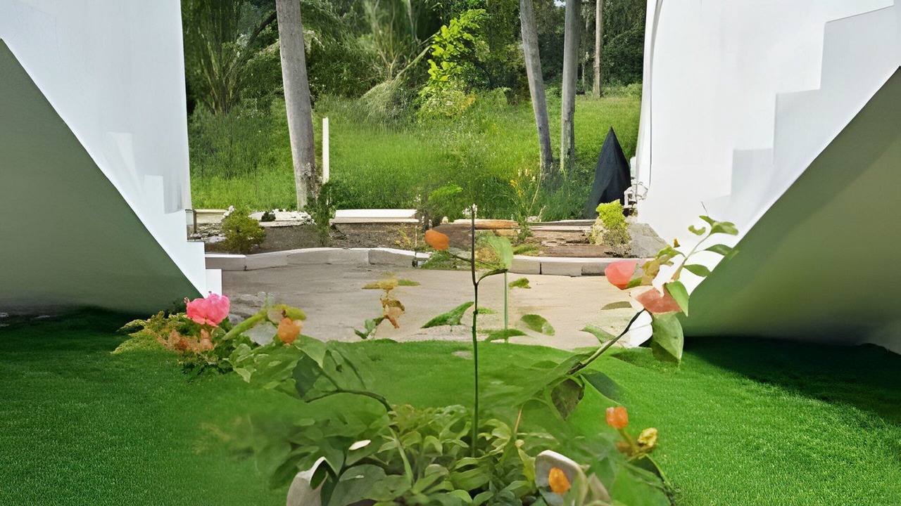 Photo of Outdoor in Saladita