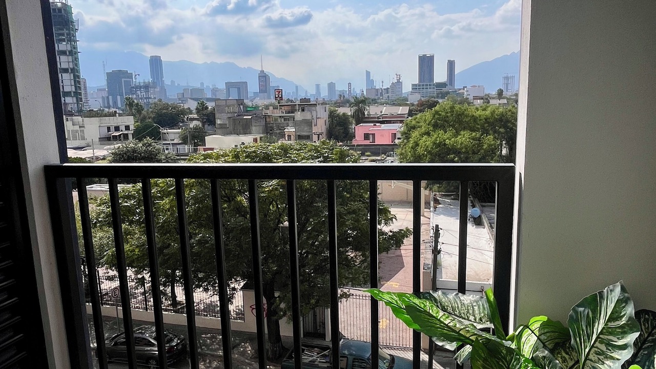 Photo of Others in Monterrey Centro