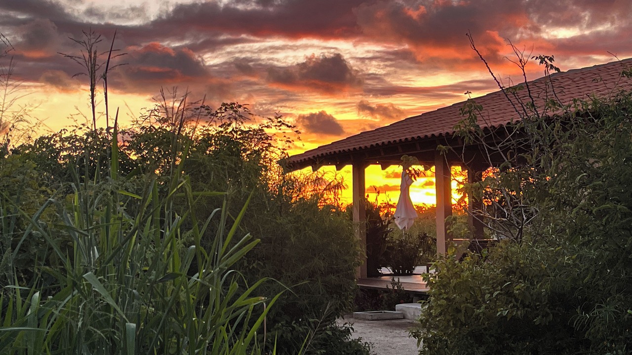 Photo of Outdoor in Saladita