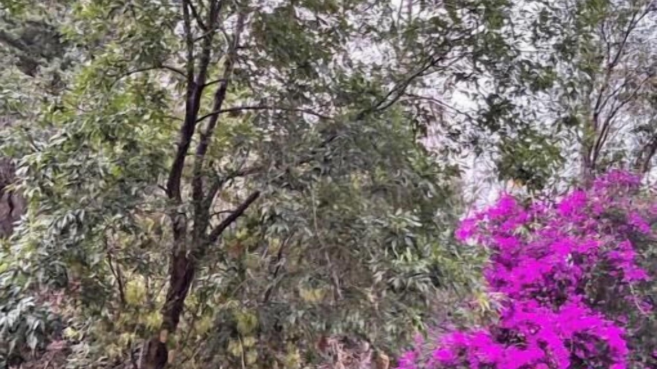 Photo of Outdoor in Coyoacan