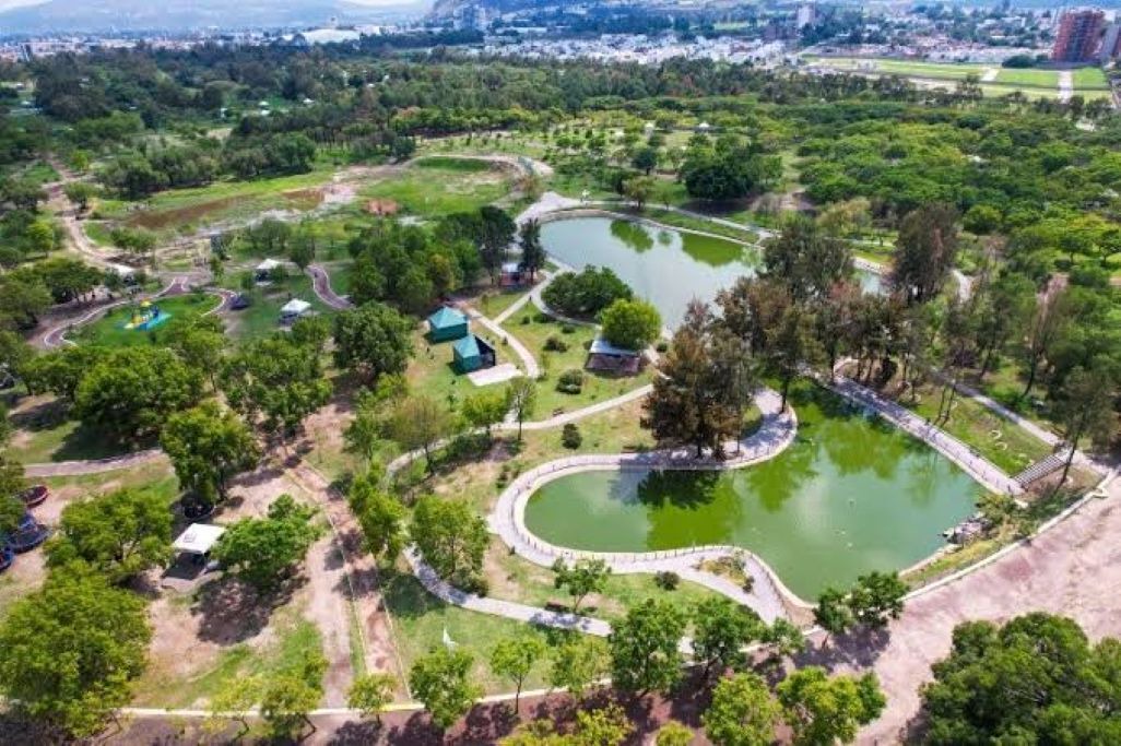 Photo of Outdoor in Zapopan