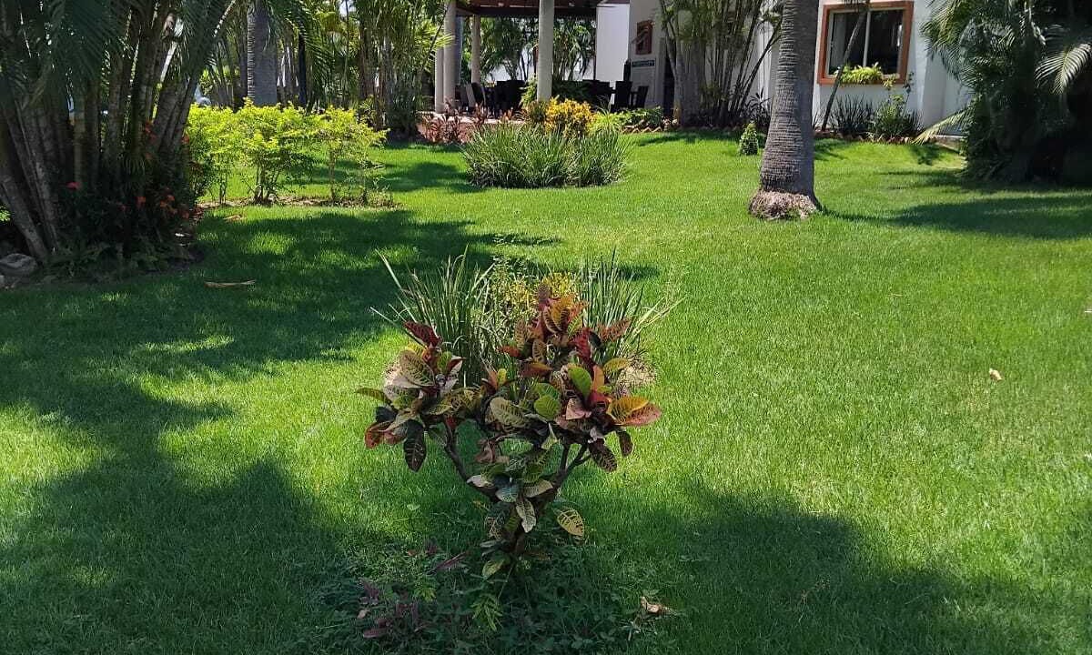 Photo of Outdoor in Valle Dorado
