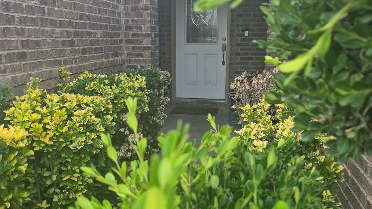 Photo of Outdoor in Saginaw