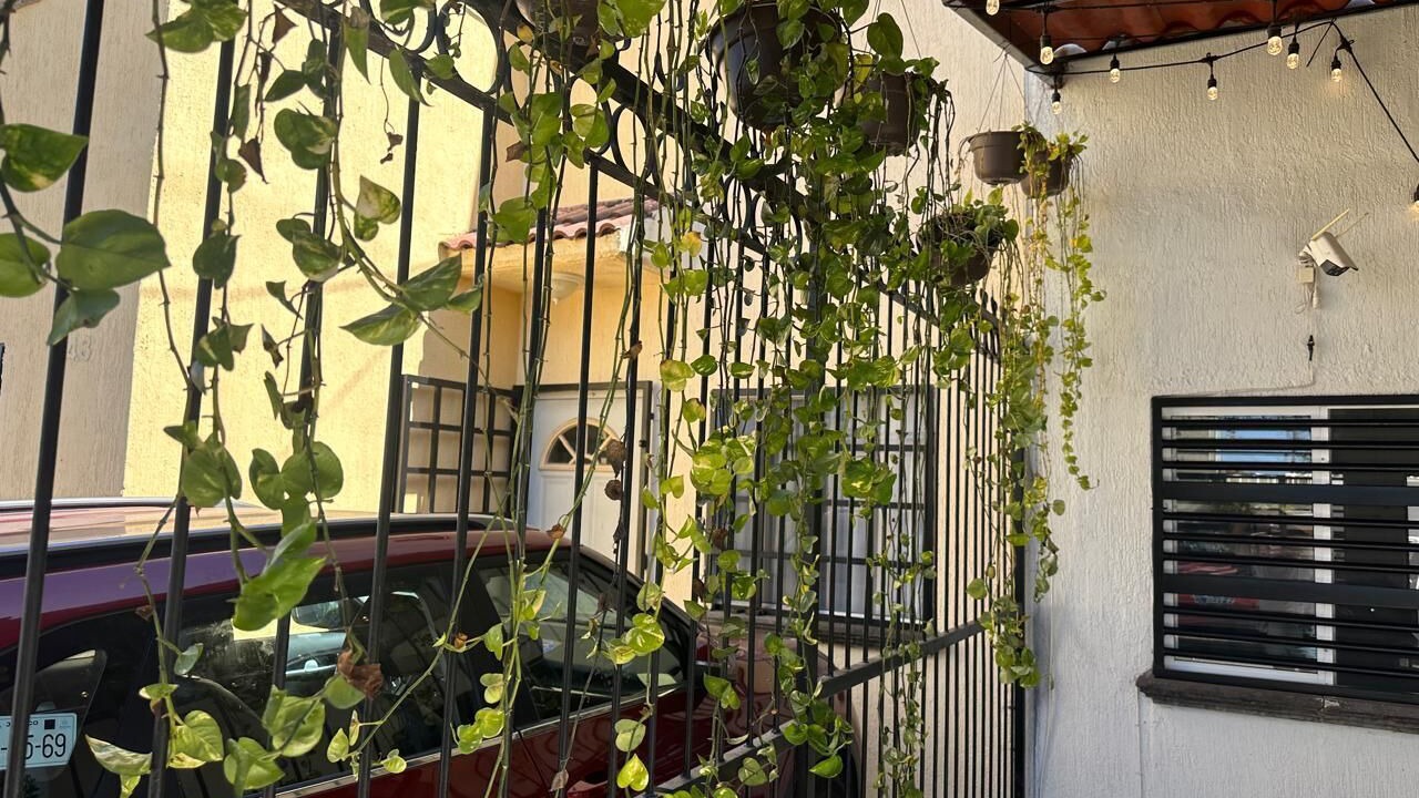 Photo of Outdoor in Valle Dorado