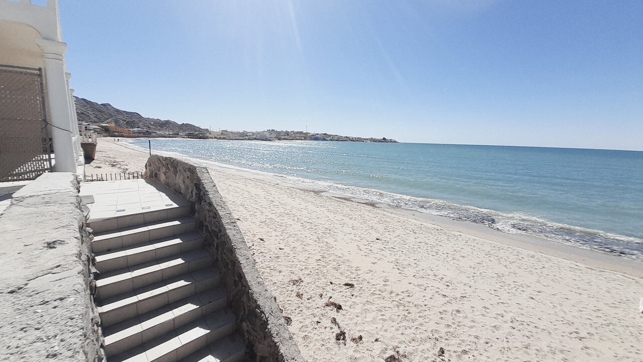 Photo of Others in Cholla Bay