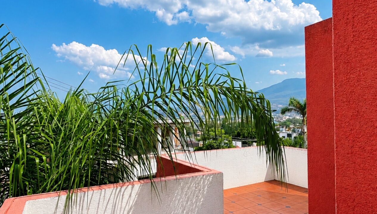 Photo of Outdoor in Tequila