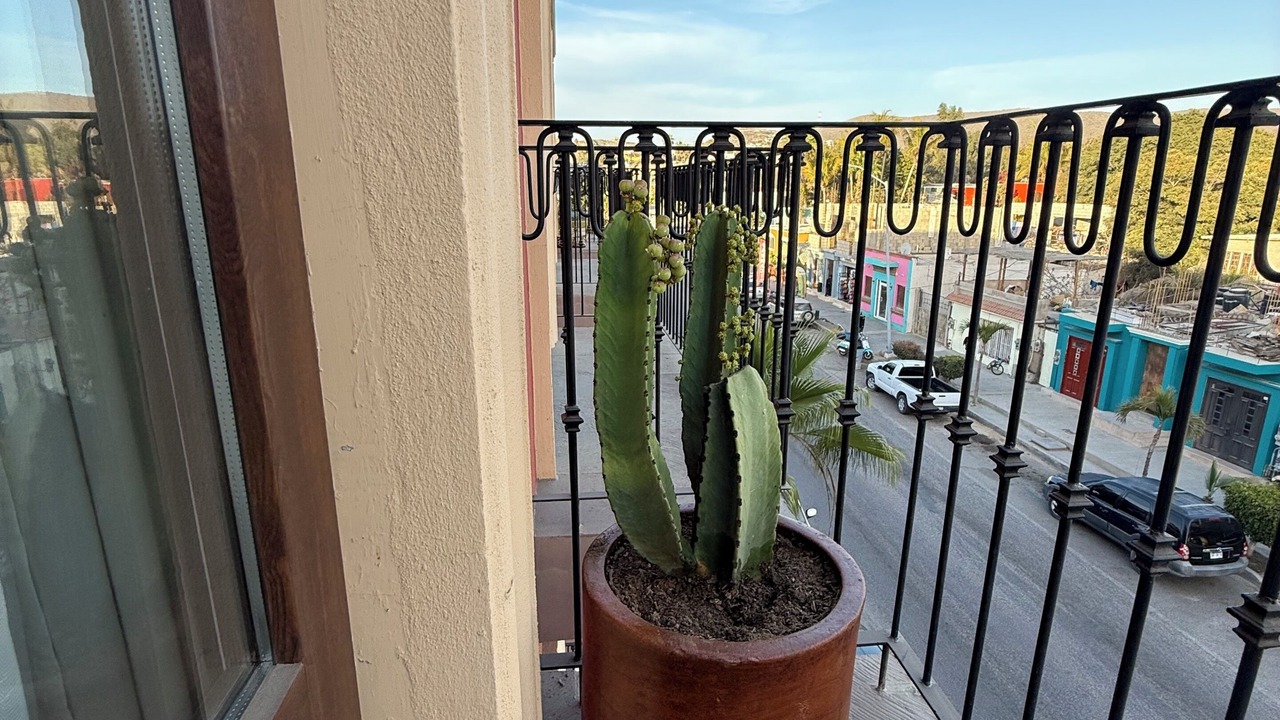 Photo of Outdoor in Todos Santos
