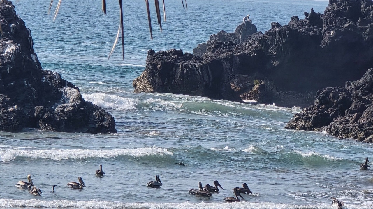 Photo of Others in Las Calabazas