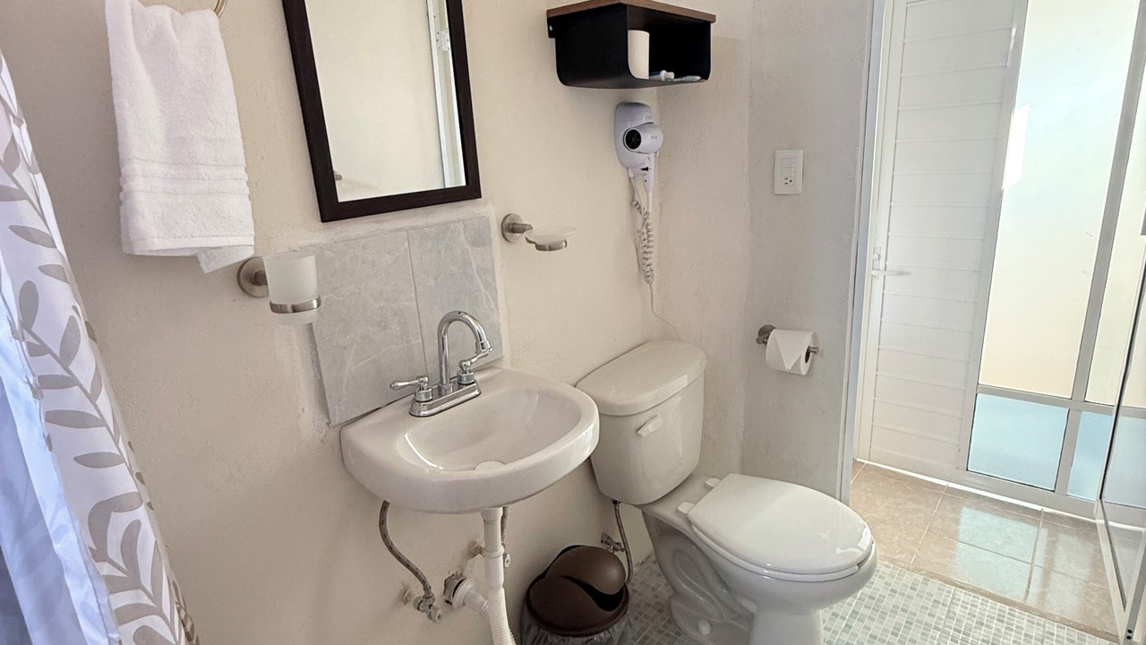 Photo of Bathroom in Puebla
