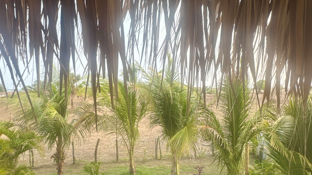 Photo of Outdoor in Escuintla