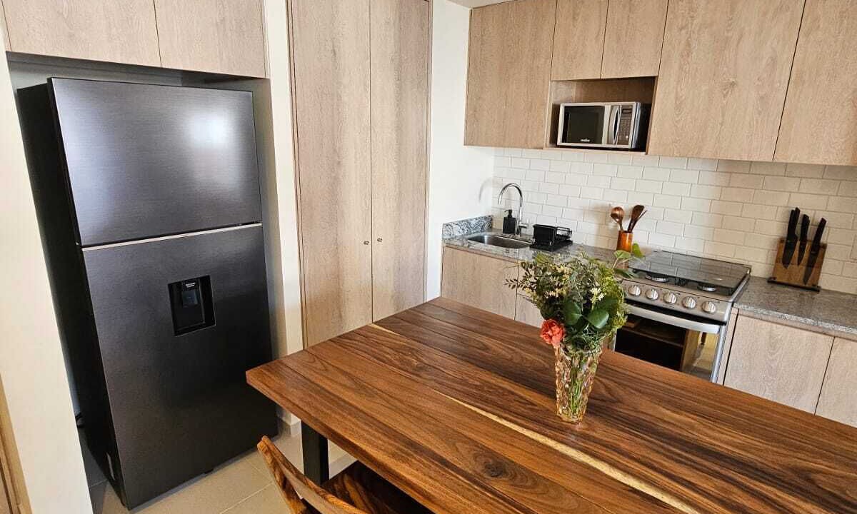 Photo of Kitchen in Providencia