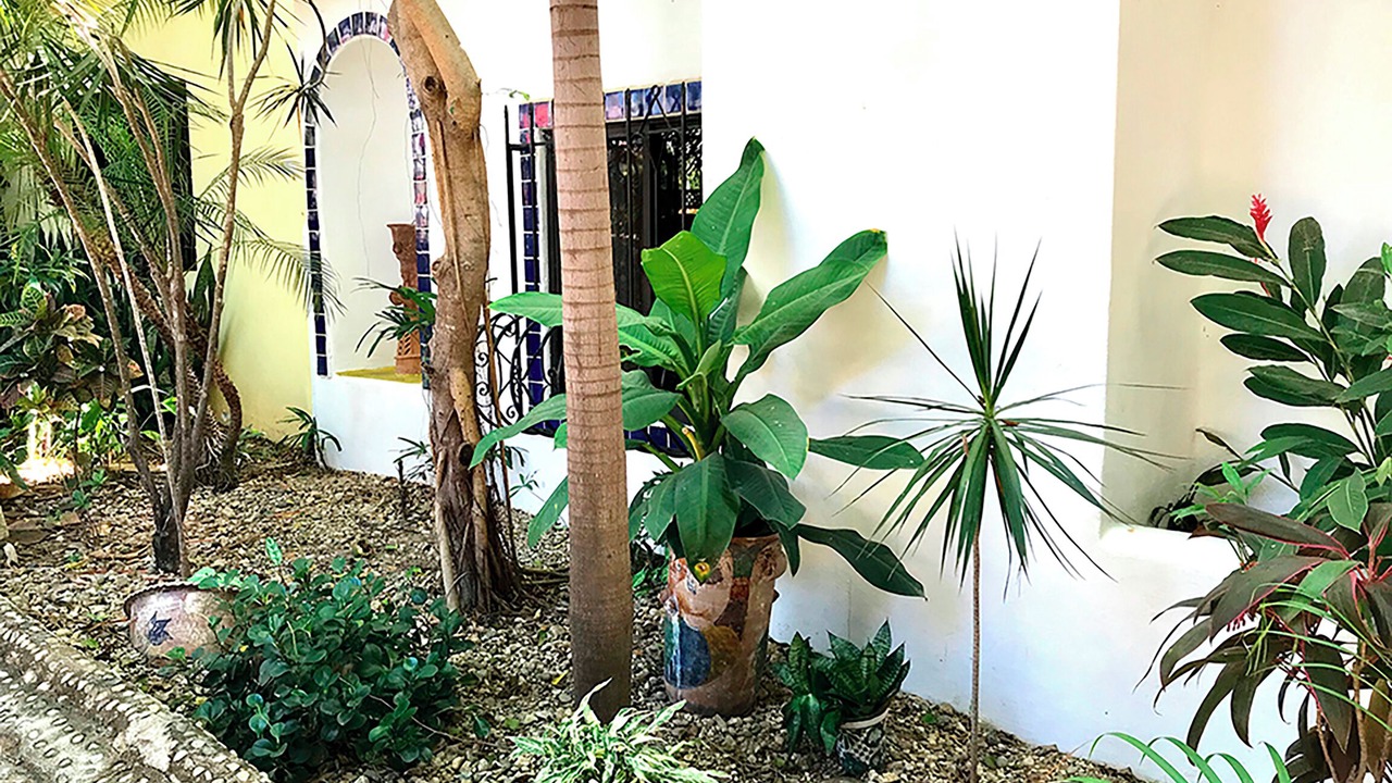 Photo of Outdoor in Hidalgo