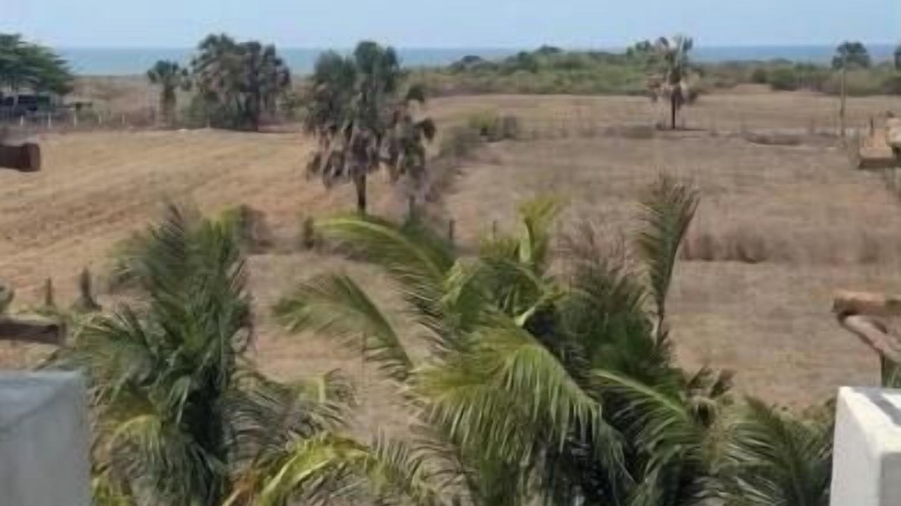 Photo of Outdoor in Escuintla
