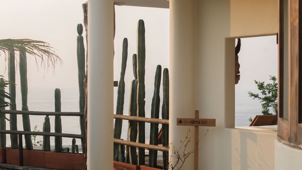 Photo of Outdoor in Puerto Angel
