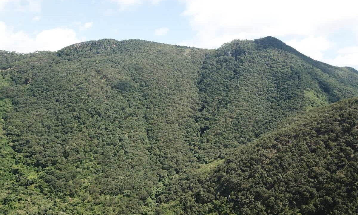 Photo of Others in Buenavista de Cuellar