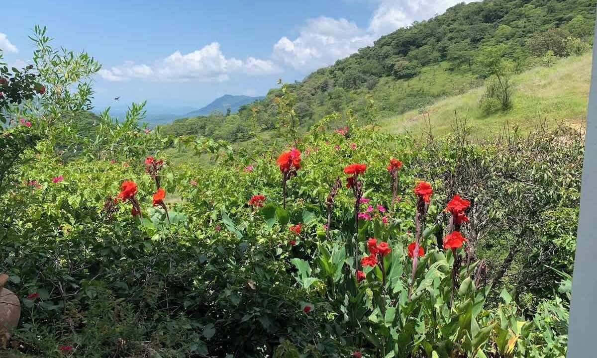 Photo of Outdoor in Buenavista de Cuellar