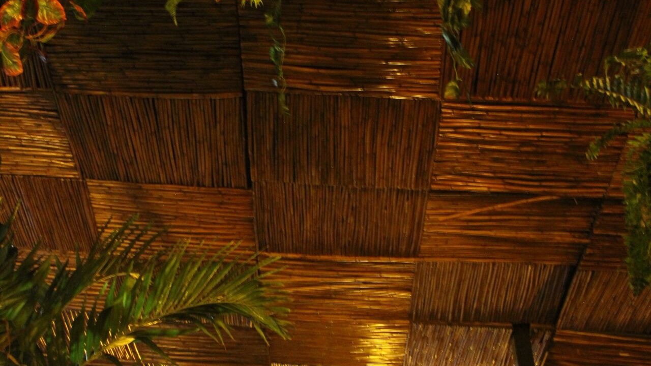 Photo of Outdoor in Ixtacalco