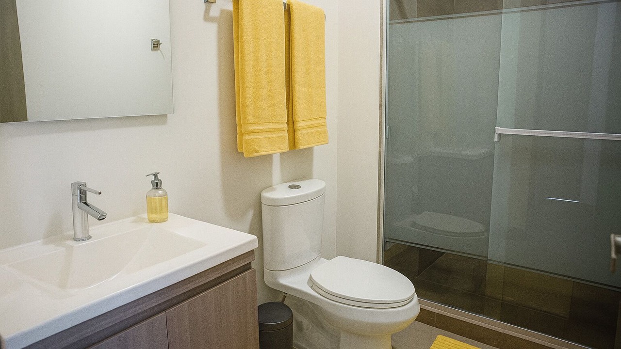 Photo of Bathroom in Monterrey Centro