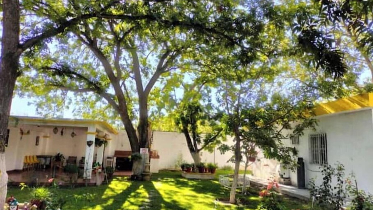 Photo of Outdoor in Parras de la Fuente