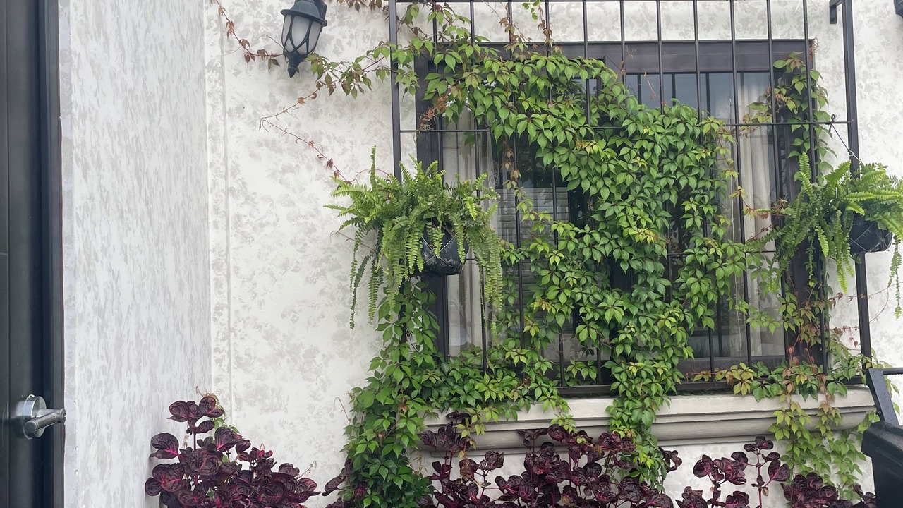 Photo of Outdoor in Ciudad Vieja