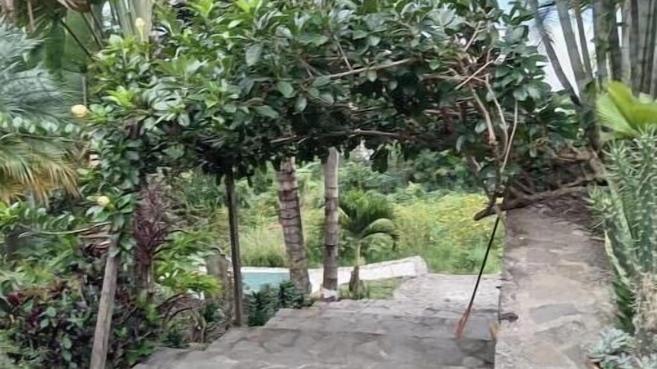 Photo of Outdoor in San Marcos La Laguna