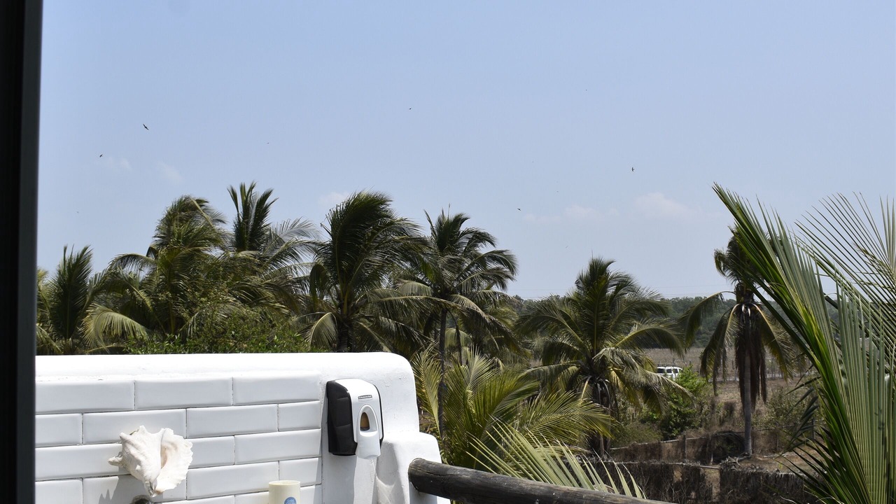 Photo of Outdoor in El Paredon