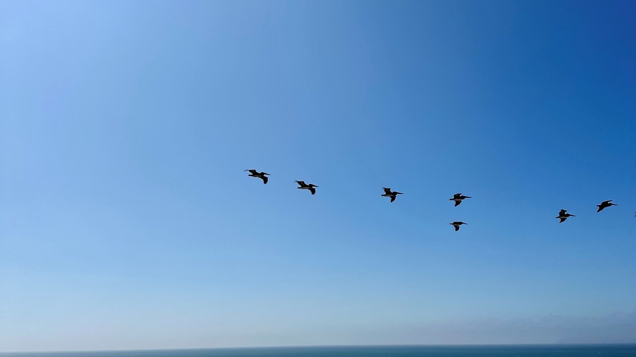 Photo of Outdoor in Playas De Tijuana