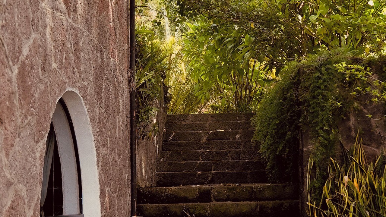 Photo of Outdoor in Cerro de Oro