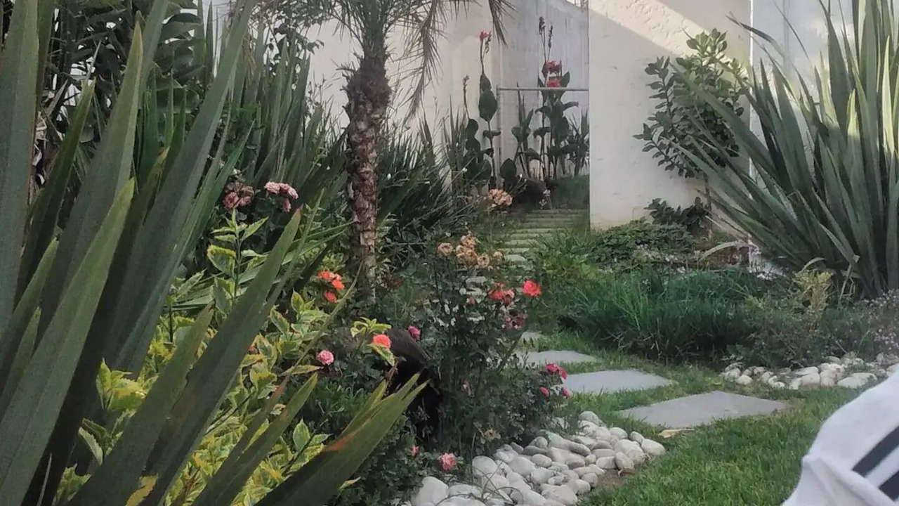 Photo of Outdoor in Cholula