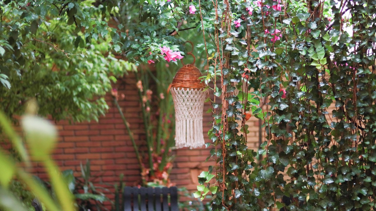 Photo of Outdoor in Calzada Madero