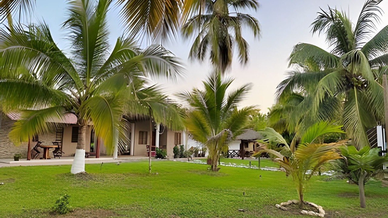Photo of Outdoor in Saladita