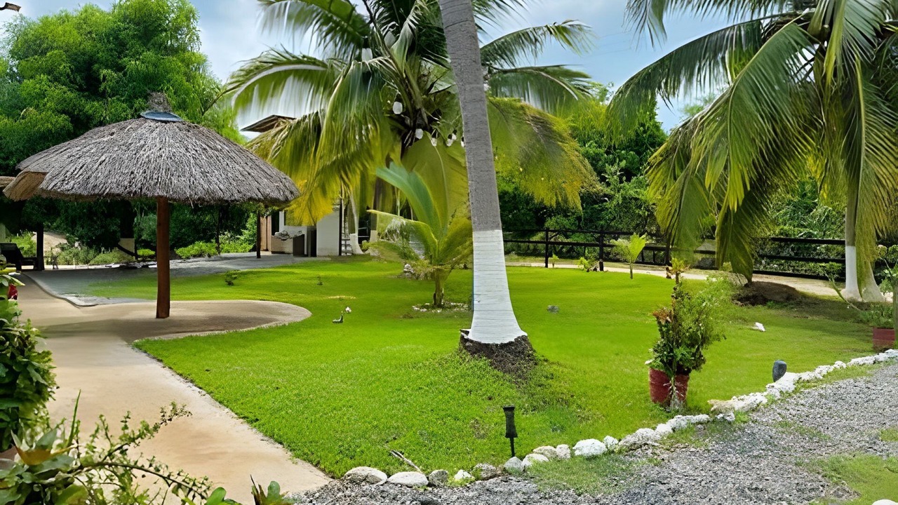 Photo of Outdoor in Saladita