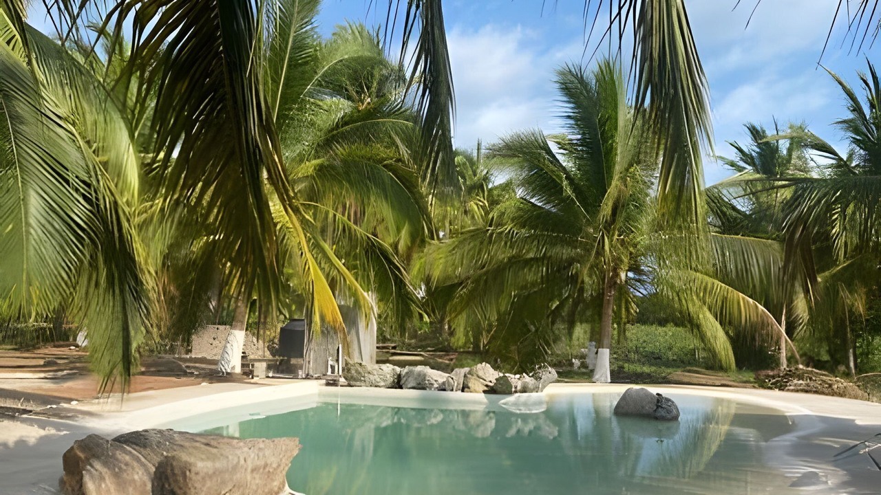 Photo of Outdoor in Saladita