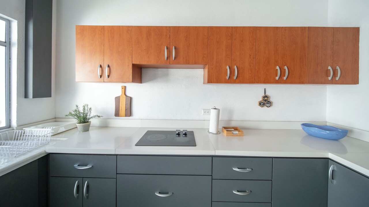 Photo of Kitchen in Zona 5