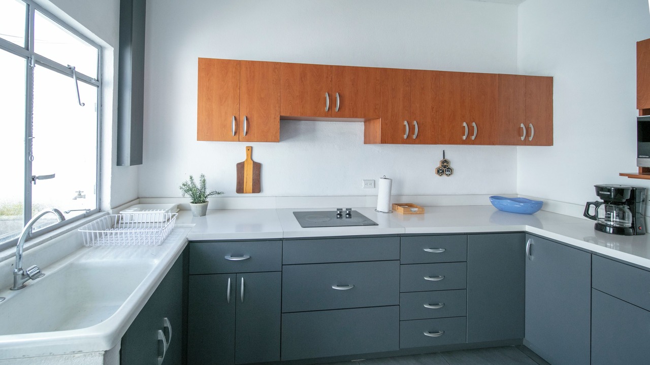 Photo of Kitchen in Zona 5
