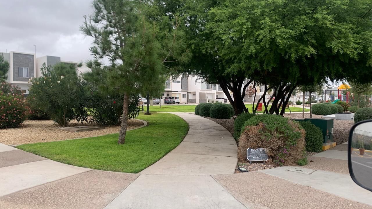 Photo of Outdoor in Chihuahua