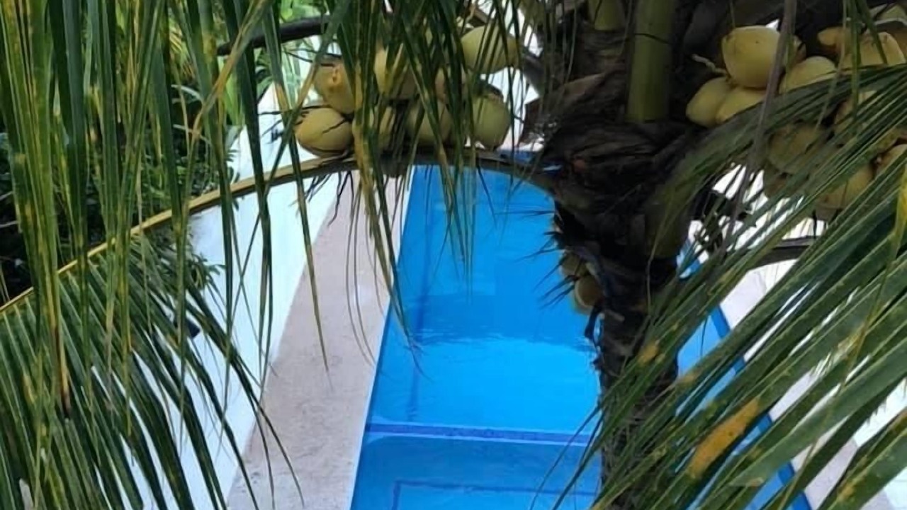 Photo of Outdoor in San Blas