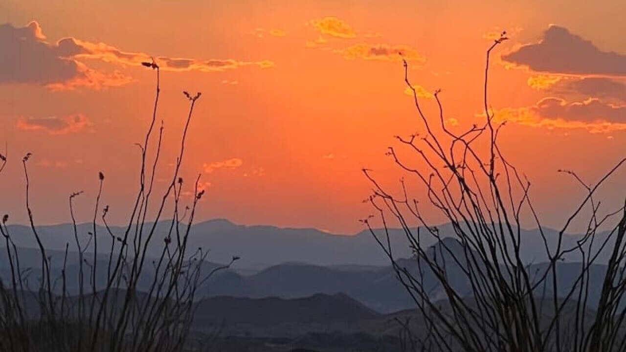 Photo of Others in Terlingua