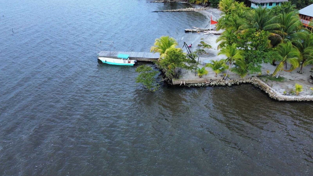 Photo of Outdoor in Livingston