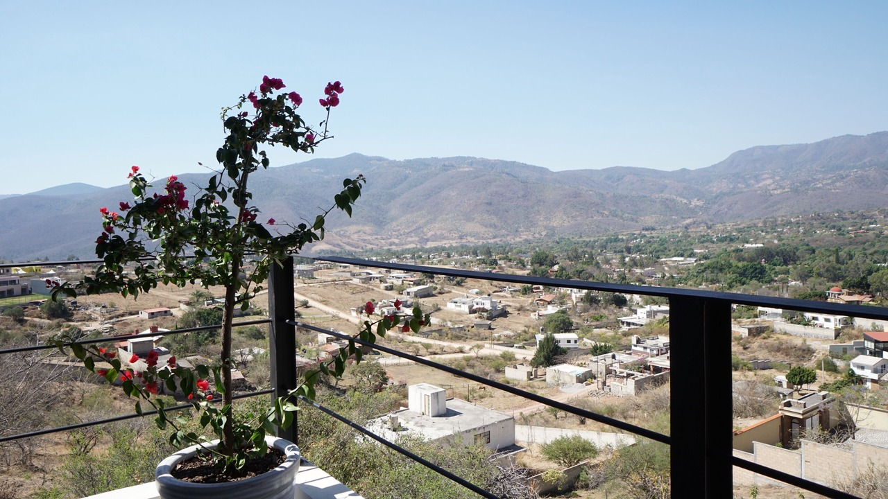 Photo of Outdoor in San Pedro