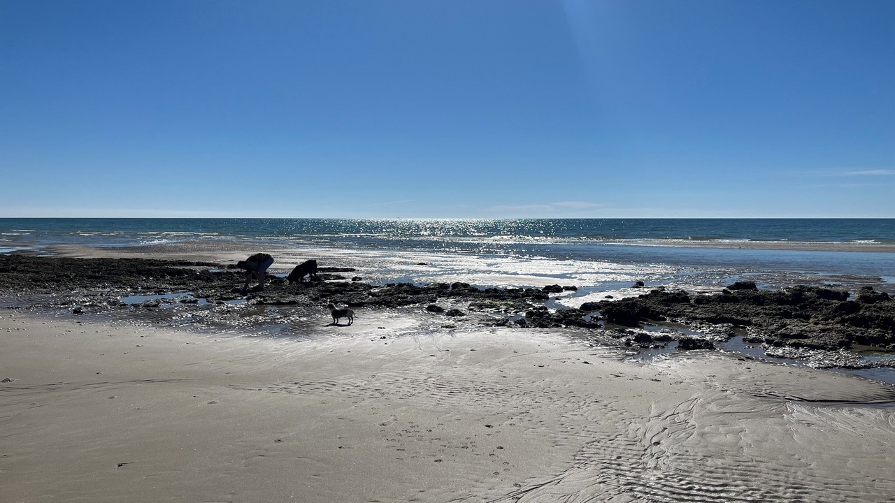 Photo of Others in Sandy Beach
