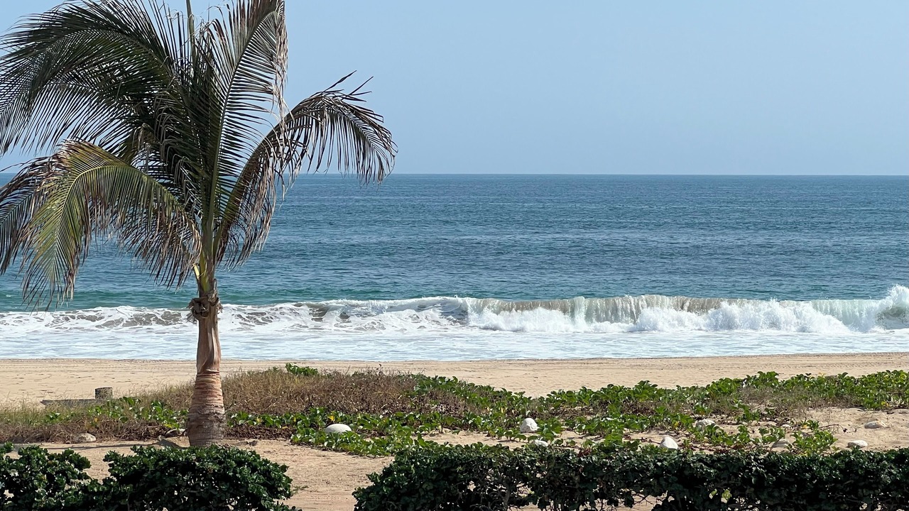 Photo of Others in Puerto Escondido